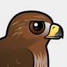 Birdorable Red-tailed Hawk
