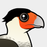 Birdorable Crested Caracara
