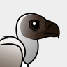 Birdorable White-backed Vulture