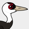 Birdorable Hooded Crane