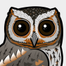 Birdorable Flammulated Owl
