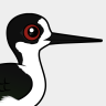 Birdorable Black-winged Stilt