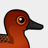 Birdorable Cinnamon Teal
