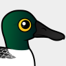 Birdorable Northern Shoveler