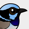 Birdorable Superb Fairywren