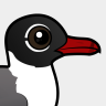Birdorable Laughing Gull