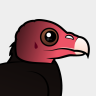 Birdorable Turkey Vulture