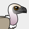 Birdorable Cape Vulture