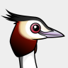 Birdorable Great Crested Grebe