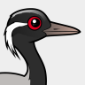 Birdorable Demoiselle Crane