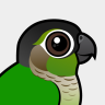 Birdorable Green-cheeked Parakeet