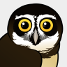 Birdorable Spectacled Owl