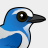 Birdorable Florida Scrub-Jay