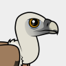Birdorable Eurasian Griffon