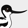 Birdorable Pied Avocet