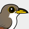 Birdorable Yellow-billed Cuckoo