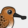 Birdorable Spoon-billed Sandpiper