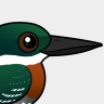 Birdorable Green Kingfisher