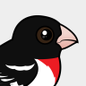 Birdorable Rose-breasted Grosbeak