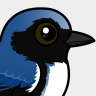 Birdorable Black-throated Blue Warbler