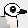 Birdorable Ross's Gull