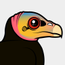 Birdorable Greater Yellow-headed Vulture