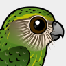 Birdorable Kakapo