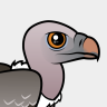 Birdorable Rueppell's Vulture