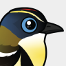 Birdorable Many-colored Rush Tyrant