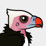Birdorable White-headed Vulture