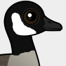 Birdorable Canada Goose