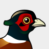 Birdorable Common Pheasant
