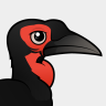 Birdorable Southern Ground Hornbill