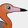Birdorable Reddish Egret