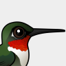 Birdorable Ruby-throated Hummingbird