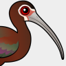 Birdorable White-faced Ibis