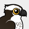 Birdorable Osprey