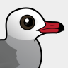 Birdorable Heermann's Gull