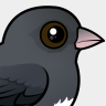Birdorable Dark-eyed Junco
