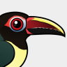 Birdorable Green Aracari