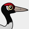 Birdorable Black-necked Crane