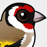 Birdorable European Goldfinch