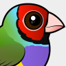 Birdorable Gouldian Finch