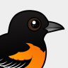 Birdorable Baltimore Oriole