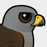 Birdorable Ridgway's Hawk