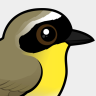 Birdorable Common Yellowthroat