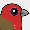 Birdorable African Firefinch