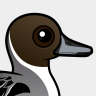 Birdorable Northern Pintail
