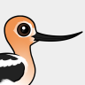 Birdorable American Avocet