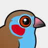 Birdorable Red-cheeked Cordonbleu